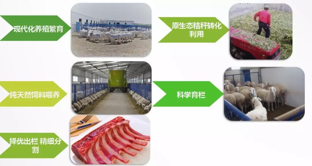 微信图片_20200818173752.jpg