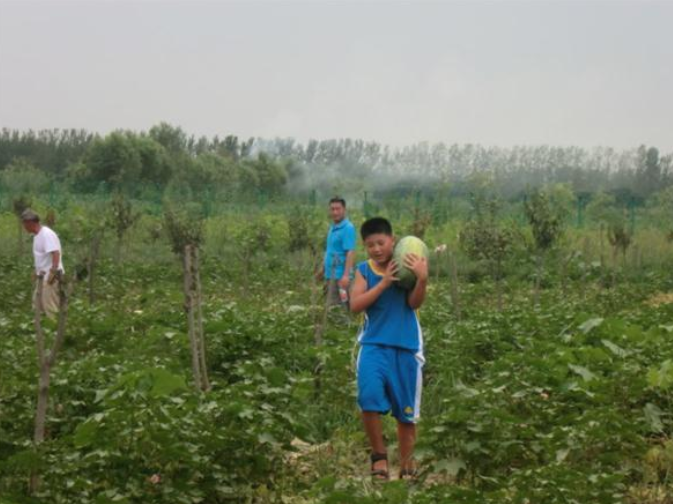 微信截图_20200826100046.png