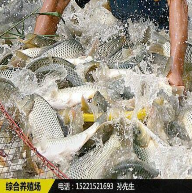 微信截图_20200901135801.png