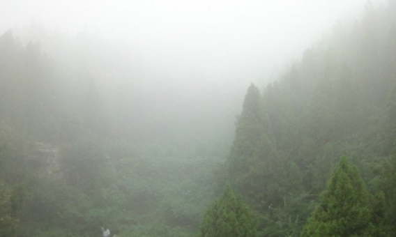1612323297(1).png